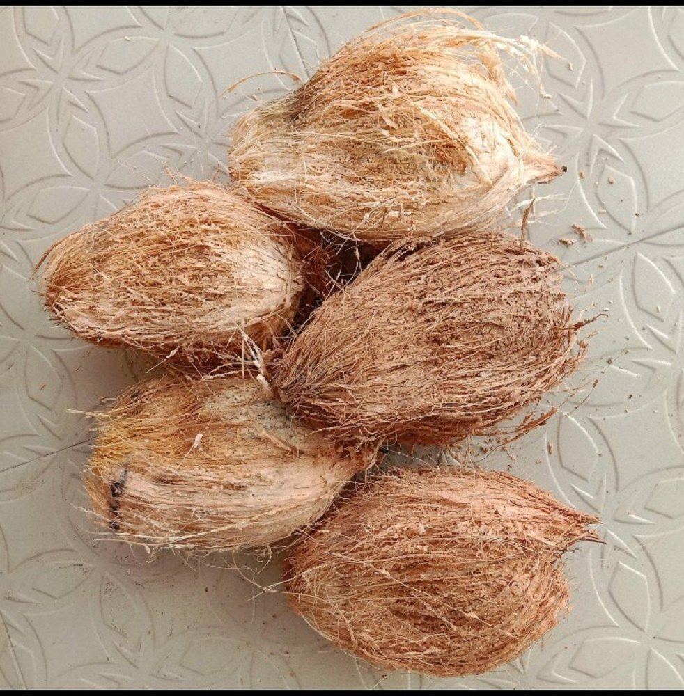 Coconut